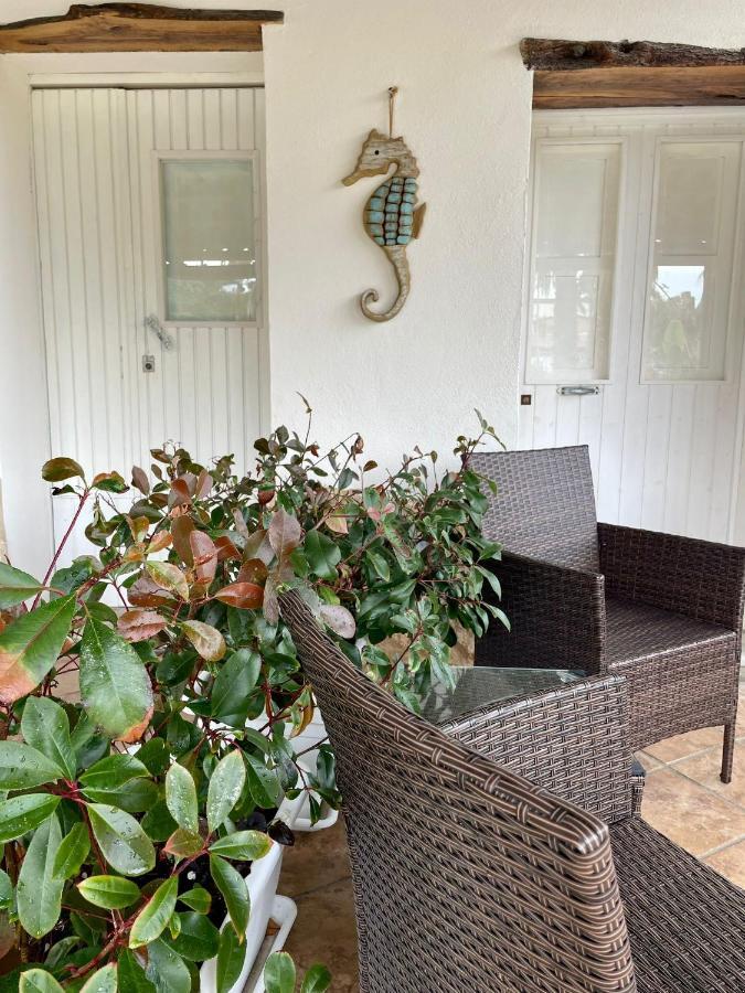 Villa Maria Elena Charme B&B Capo Vaticano Eksteriør bilde