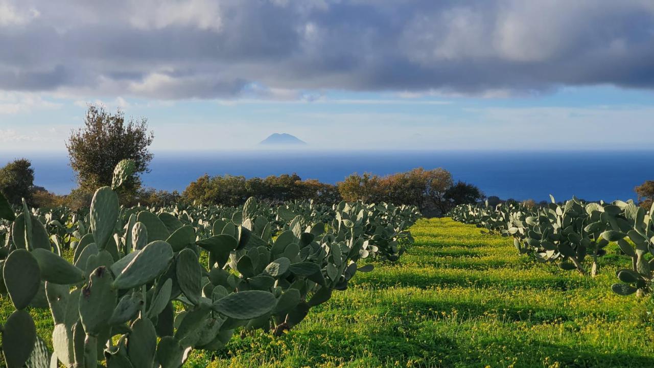 Villa Maria Elena Charme B&B Capo Vaticano Eksteriør bilde